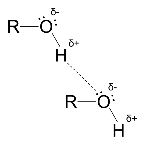 Alcohols alcohols hydrogen bonding StudySmarter