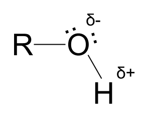 Alcohols alcohols as part of the polar hydroxyl group StudySmarter