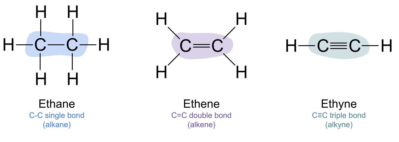 Functional Groups alkane alkene alkyne example StudySmarter Originals