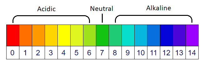 Physical Chemistry, pH scale acids and bases, StudySmarter